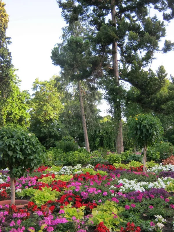 Rosengarten in Mainz