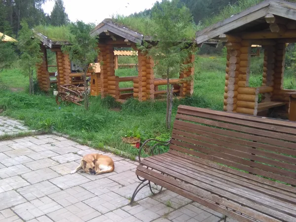 чайные домики